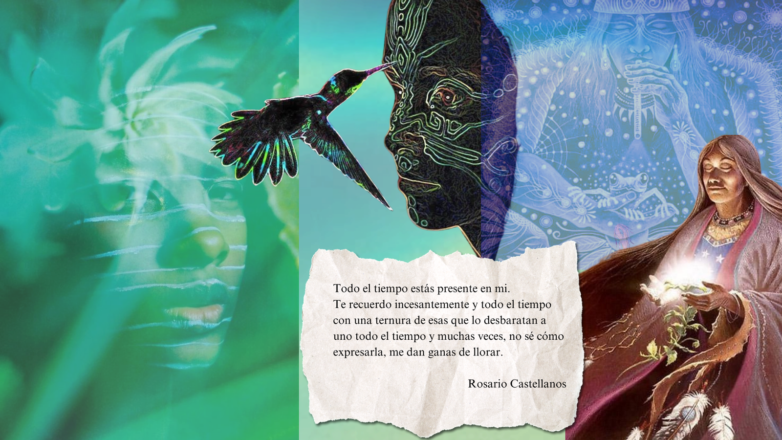 Moodboard Pajarito Colibrí - María Fernanda González