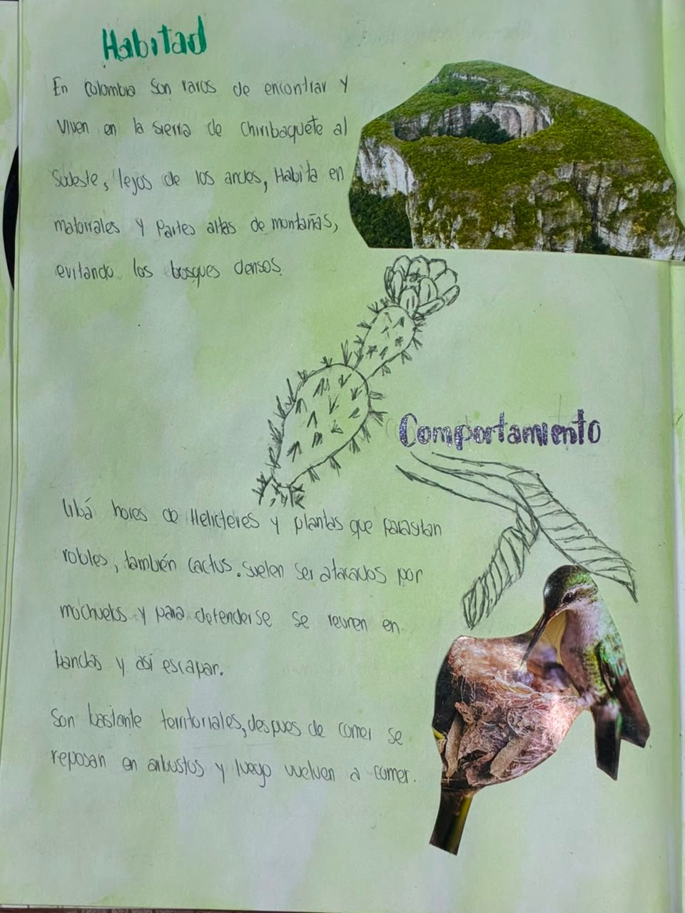 Bitácora 05